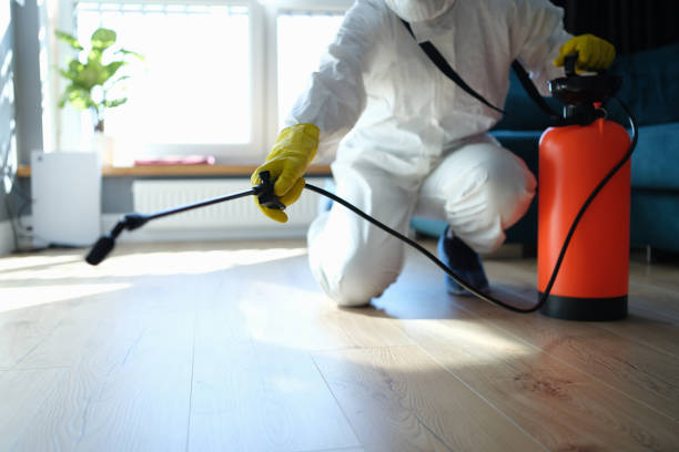 Reliable Hoarding Cleanup contractor in New London, TX by Trauma Clean Pros